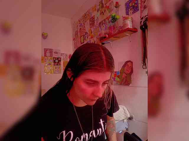 theplayful webcam