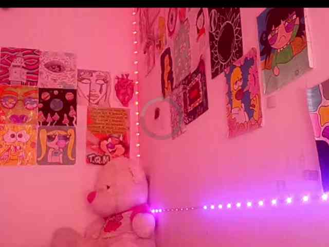 theplayful webcam
