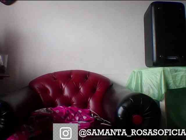 theplayful webcam