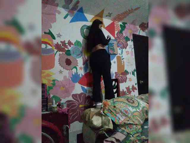 theplayful webcam