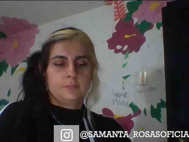 theplayful webcam