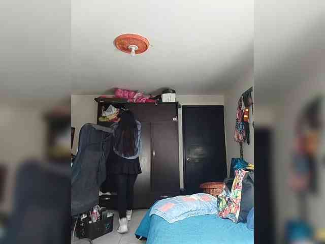 theplayful webcam