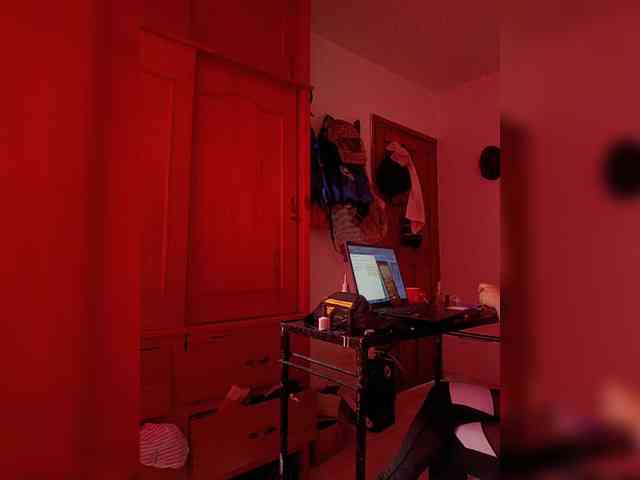 theplayful webcam