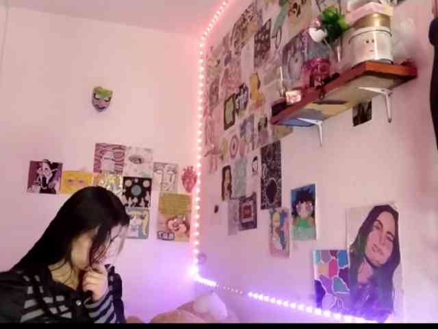 theplayful webcam