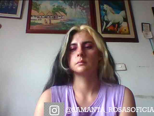 theplayful webcam