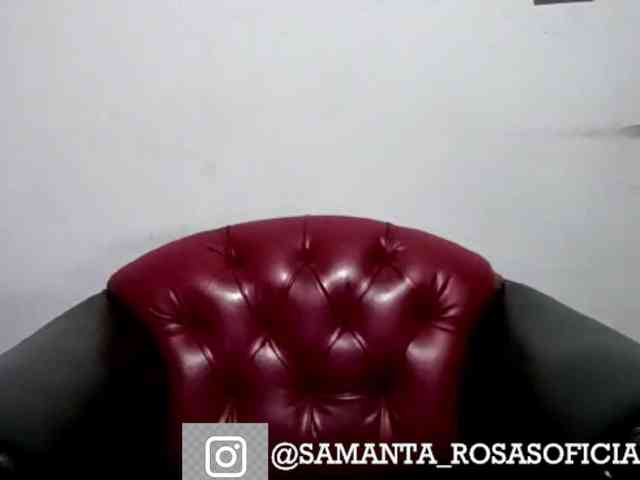 theplayful webcam