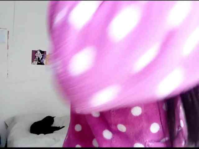 theplayful webcam
