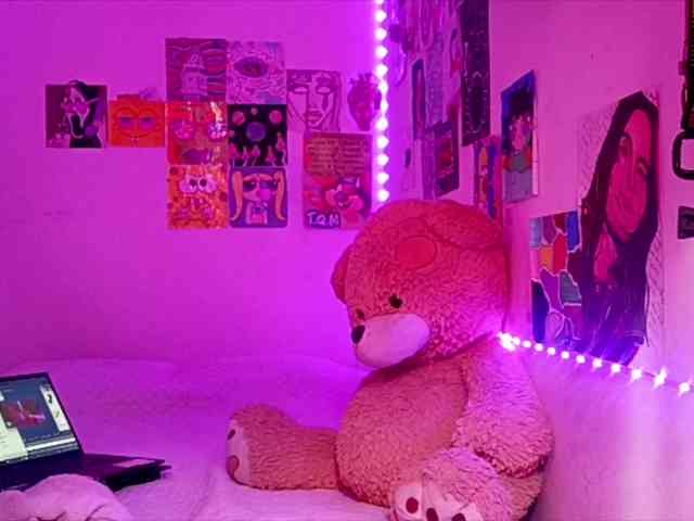 theplayful webcam