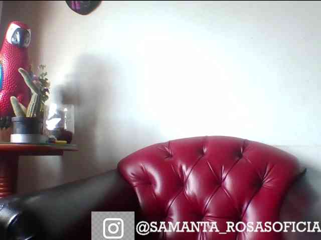 theplayful webcam