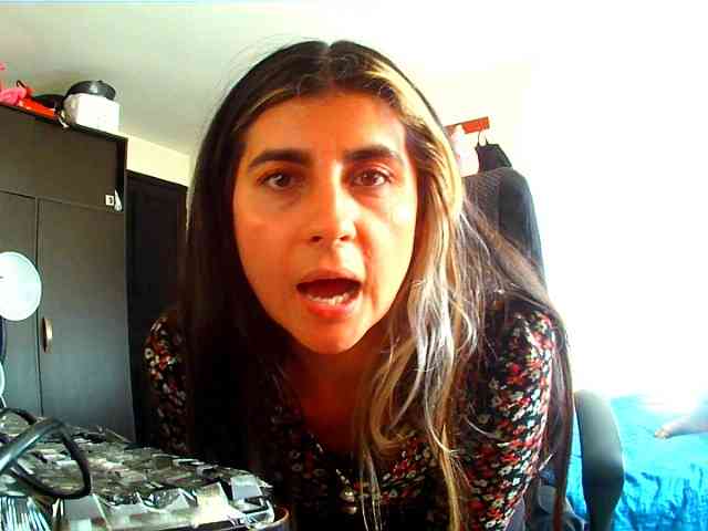 theplayful webcam