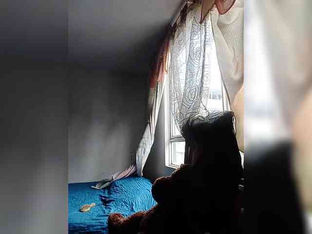 theplayful webcam