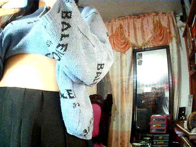 theplayful webcam