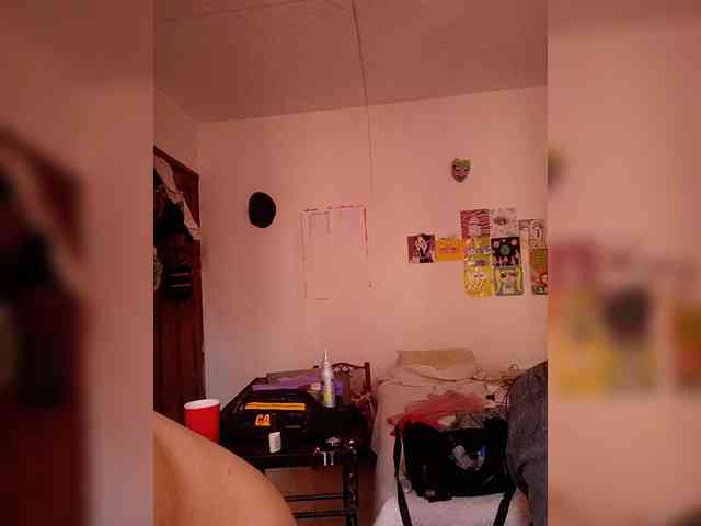 theplayful webcam