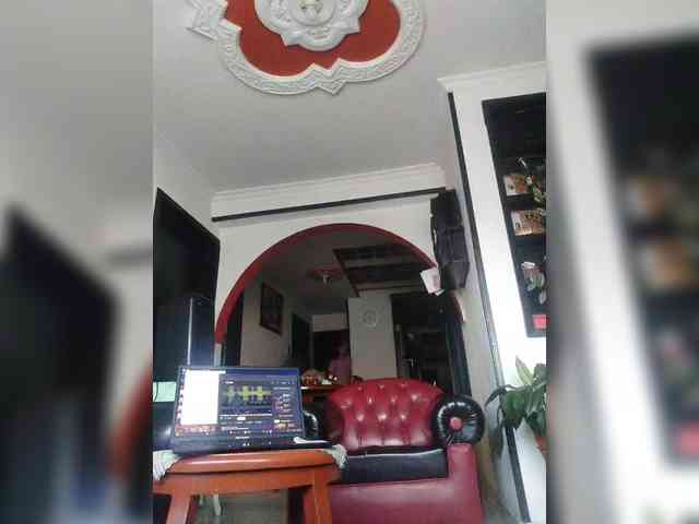 theplayful webcam