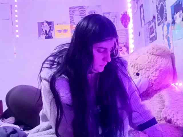 theplayful webcam
