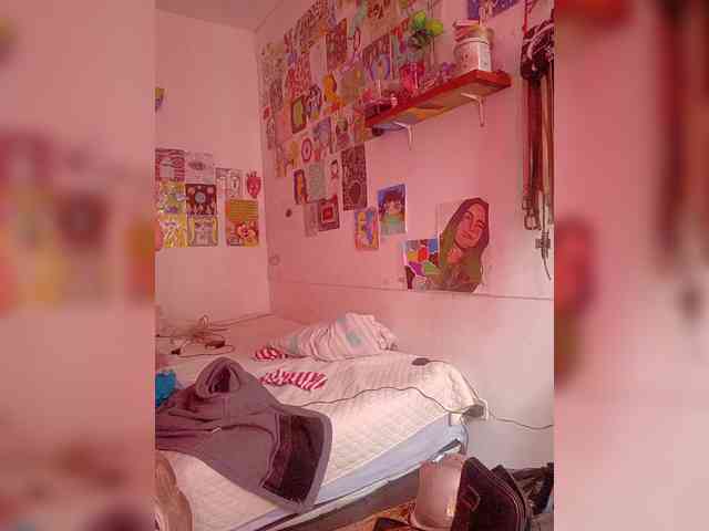 theplayful webcam