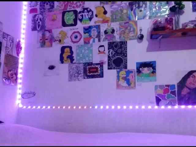 theplayful webcam