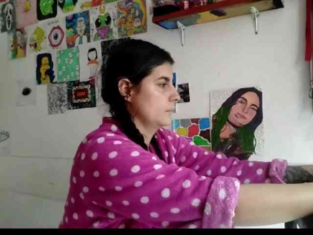 theplayful webcam