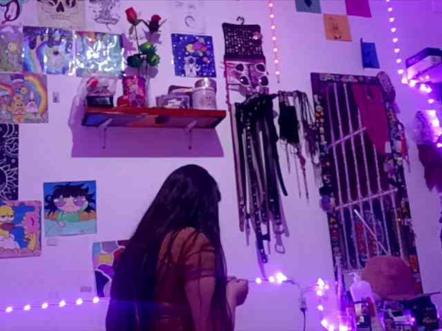 theplayful webcam