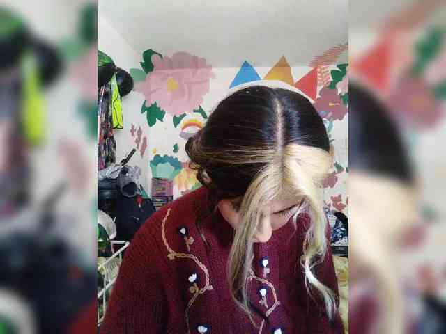 theplayful webcam