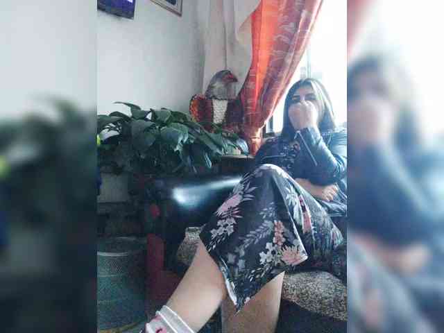 theplayful webcam