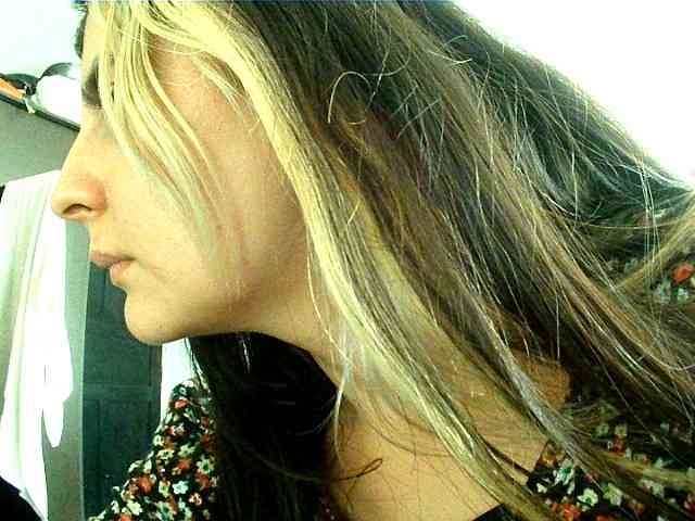 theplayful webcam