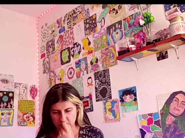 theplayful webcam
