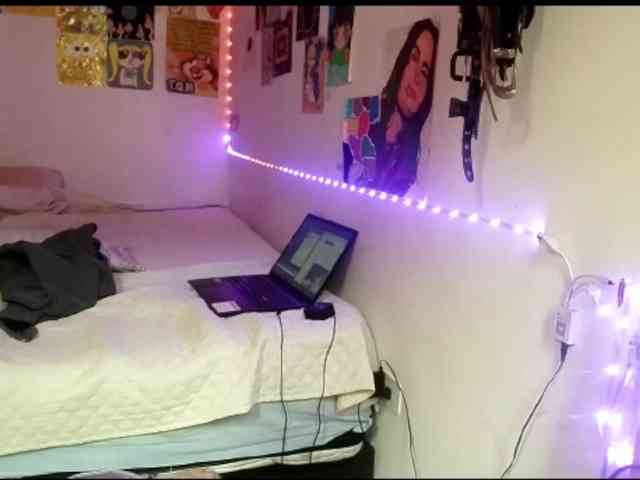 theplayful webcam