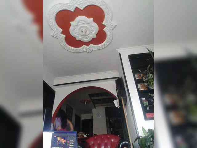theplayful webcam