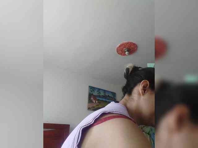 theplayful webcam