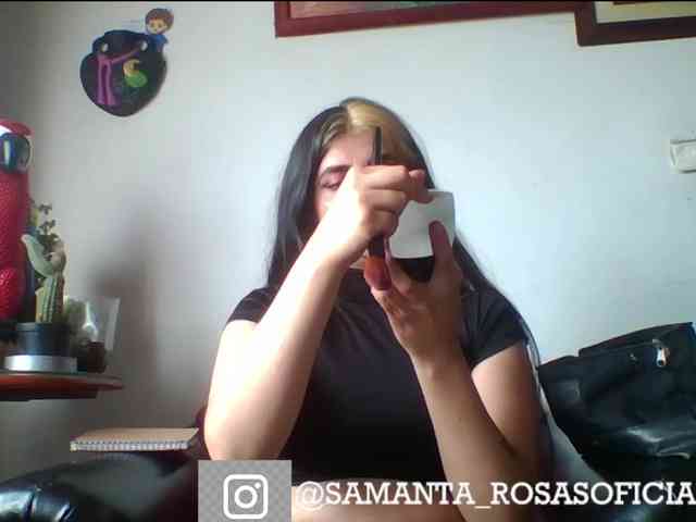 theplayful webcam