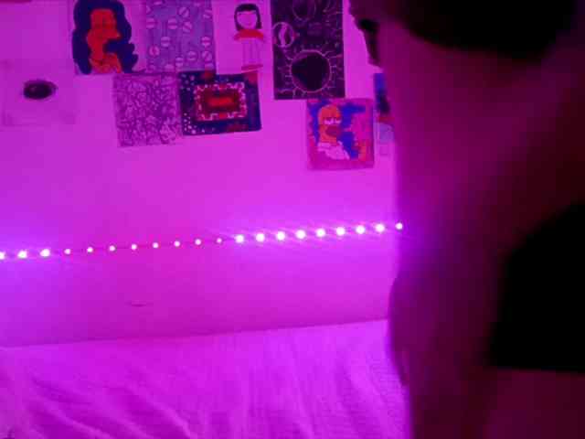 theplayful webcam