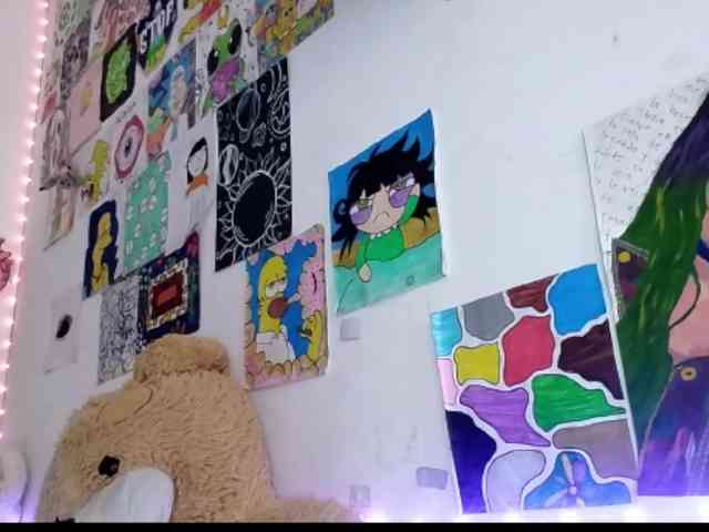 theplayful webcam