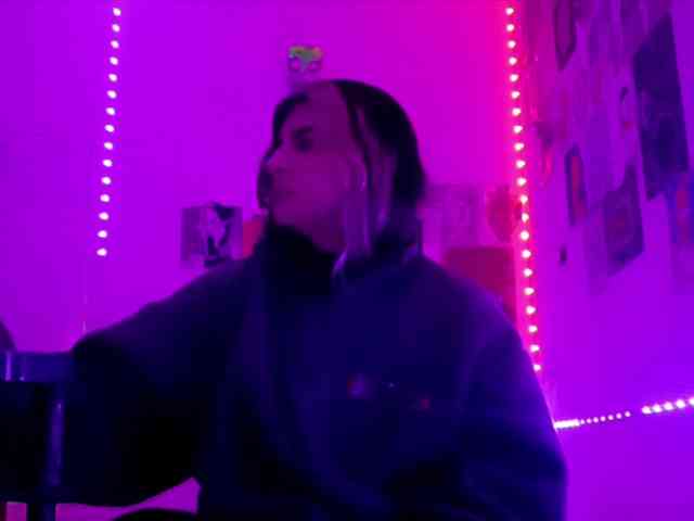 theplayful webcam