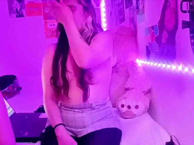 theplayful webcam