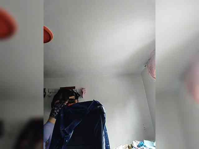 theplayful webcam