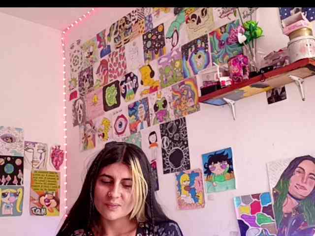 theplayful webcam
