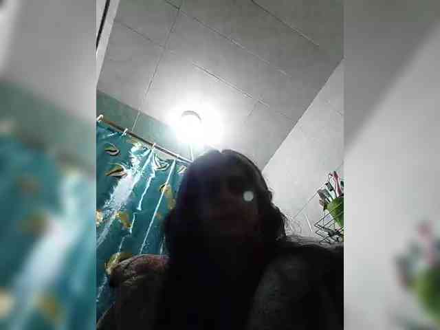 theplayful webcam