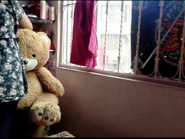 theplayful webcam