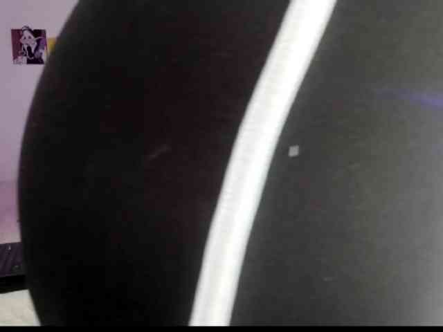 theplayful webcam