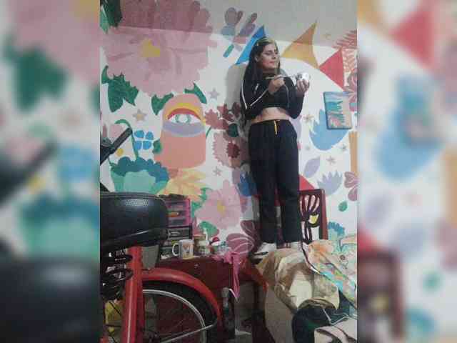 theplayful webcam