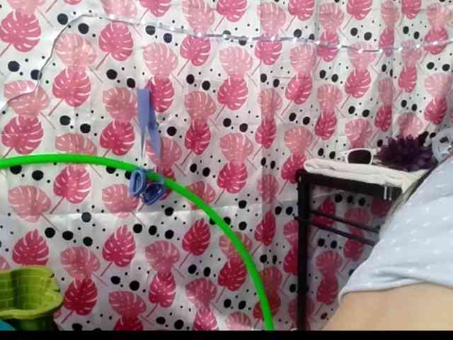 theplayful webcam