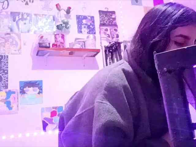 theplayful webcam