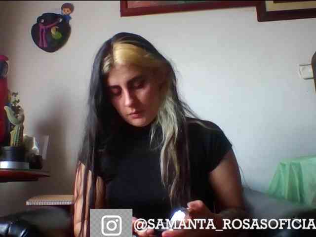 theplayful webcam
