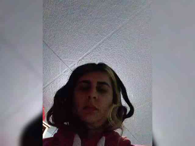theplayful webcam