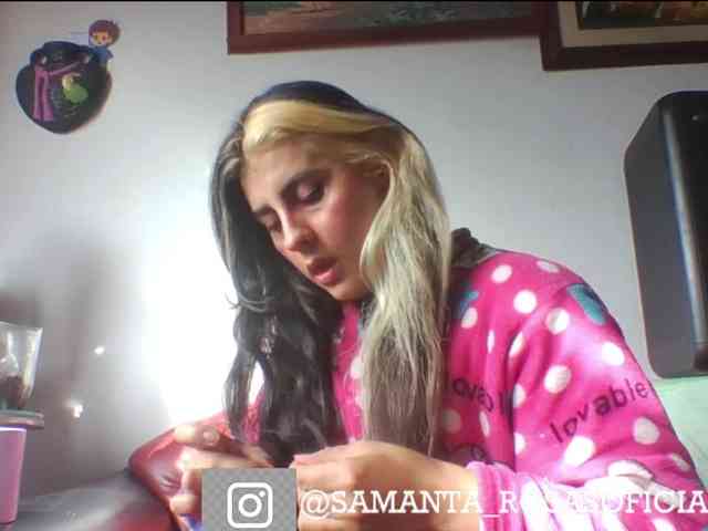 theplayful webcam