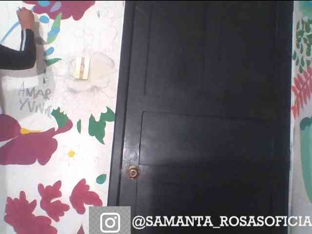 theplayful webcam