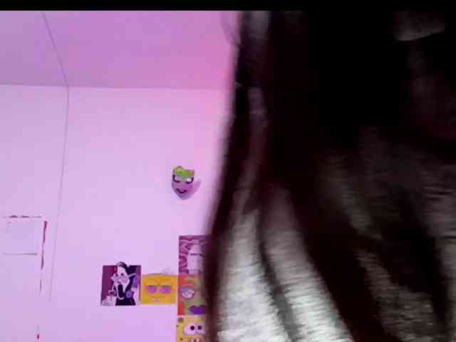 theplayful webcam