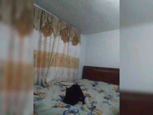 theplayful webcam