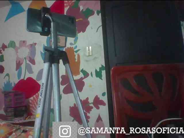 theplayful webcam